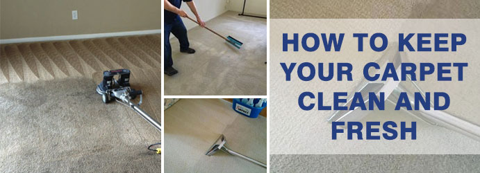 How to Keep Your Carpet Clean and Fresh