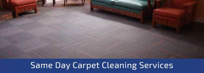 Same Day Carpet steam Cleaning Point Cook 