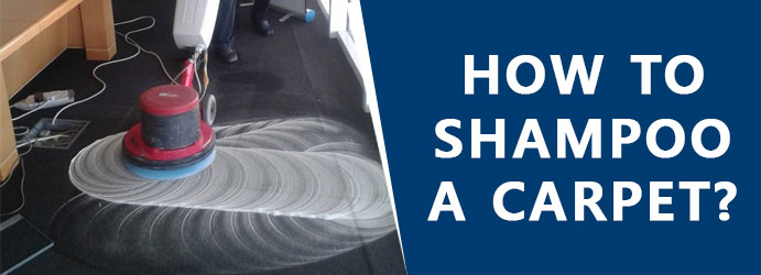 How to shampoo a carpet?