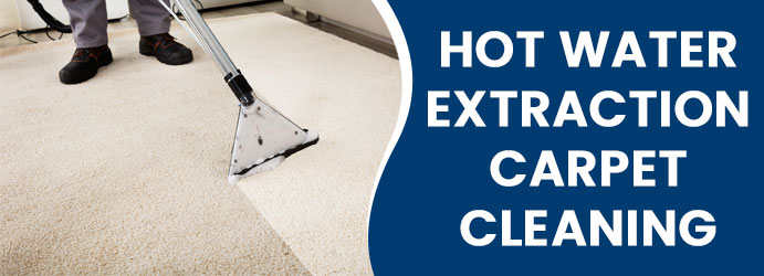 Hot Water Extraction for Carpet Cleaning