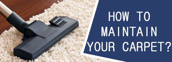 How to Maintain your Carpet?