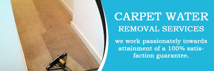 Carpet Water Removal services Carnegie