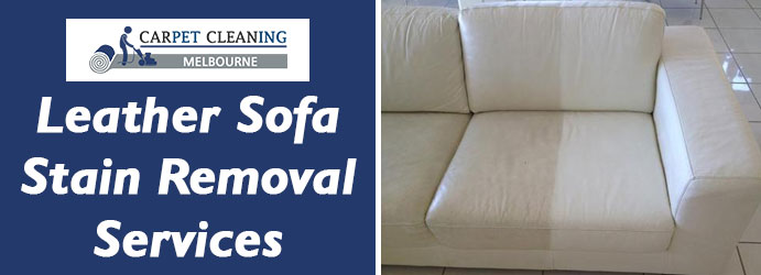 Leather Sofa Stain Removal