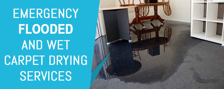 Wet Carpet Drying Services Blind Bight