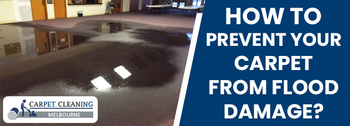 How To Prevent Your Carpet From Flood Damage?