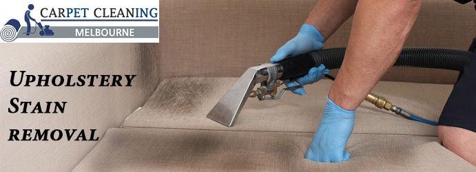 Upholstery Stain Removal 