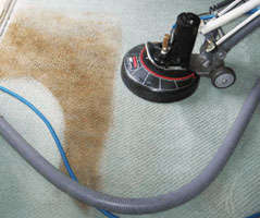 Same day carpet cleaning