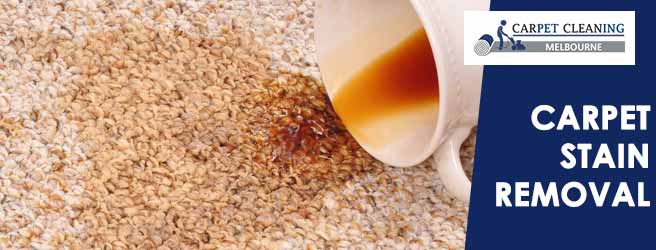 10 Different Ways to Get Rid of Carpet Stains?