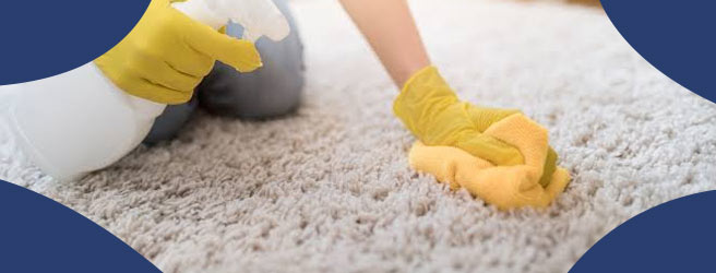 How to Remove Odours from The Carpet?
