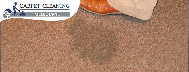 Professional Carpet Oil Stain Removal