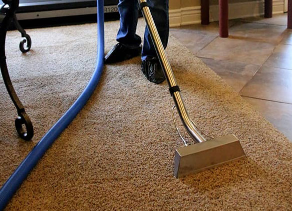 Carpet Cleaning Caulfield South