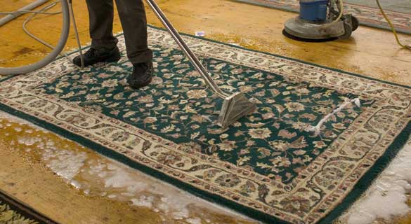 Rug Cleaning Mount Clear