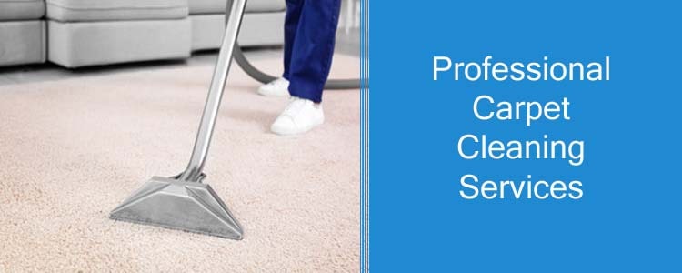 Professionals Carpet Cleaning Service